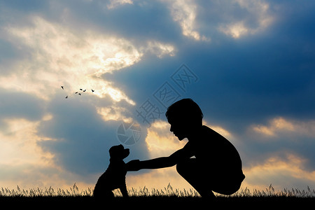 带着小狗狗的小男孩孩子草地日落乐趣太阳小狗插图阳光幸福背景图片