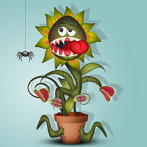 食肉植物蜘蛛昆虫苍蝇怪物牙齿捕食者插图蚊子天性树叶背景图片