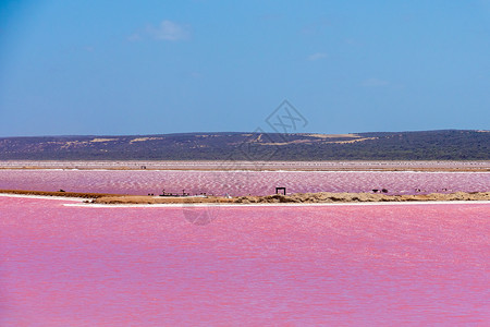 卡尔巴里大峡谷西澳大利亚州Gregory旁边的粉红湖不同地方背景