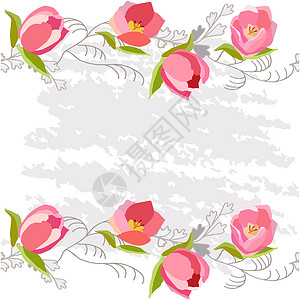 带粉色郁金香的无尽水平边框植物学植物设计草本植物灰色创造力框架元素草本收藏背景图片