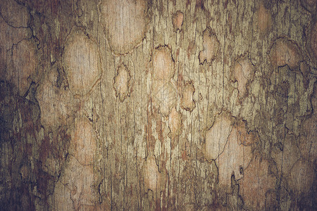 老棕色木头纹理 适合做背景snat空白木地板地面木板硬木材料木材粮食控制板桌子背景图片