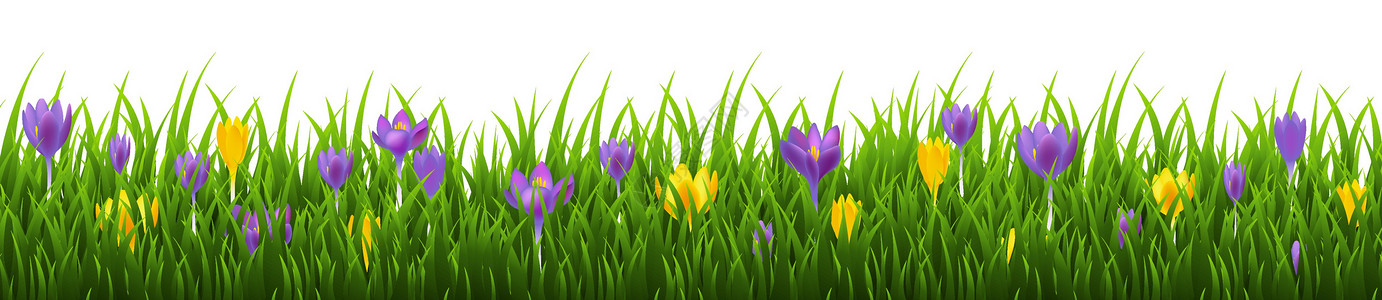 开在四月里花鲜花相框与 Gras插画