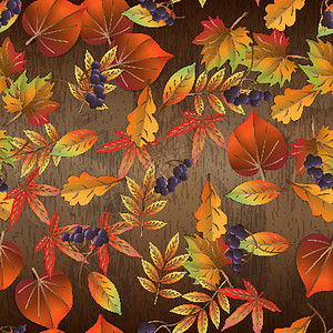 红色和黄色的秋叶 木质背景上的矢量无缝图案背景图片