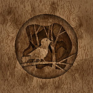 野生辣木籽3D木切层纹理的树枝上插画