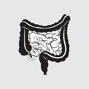 溃疡性的人类消化系统肠胃内肠胃肠道图 剖面胃肠道图插画