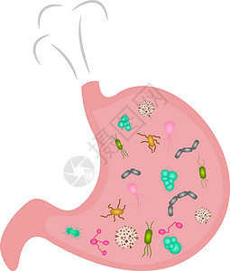 充斥着微生物的腹腔 卡通式高清图片