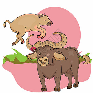 非洲野牛野生动物 非洲动物 水牛与婴儿插画