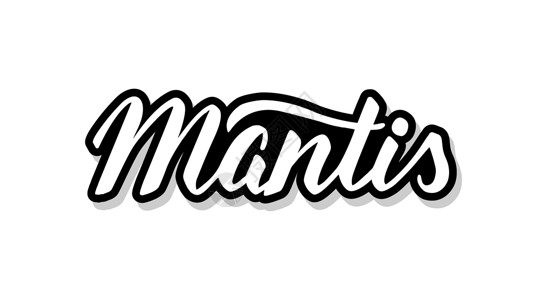母婴店促销单页您设计插图概念的 Mantis书法模板文本 白孤立背景上的手写字母标题矢量单页文字Name插画