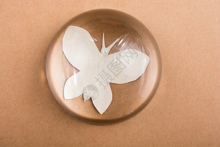 棕色纸上的蝴蝶切纸创造力翅膀飞行工艺君主艺术生态昆虫背景图片