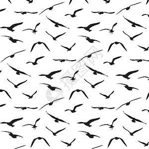 黑色天空海鸥剪影图案背景Vecto飞行黑色鸟类天空鸽子插图绘画墙纸白色插画