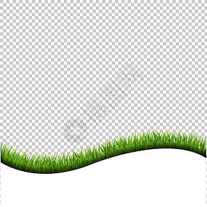 在透明背景上隔离的草边框卡片花园草地植物生态草本植物插图发芽草原剪贴背景图片