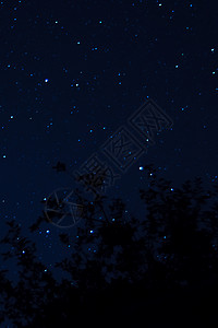长长的暴露夜照 许多有树木的恒星在前景之下 远离城市 夜间风景自然星座发光摄影星星气氛天文天空宇宙蓝色背景