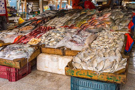 菲律宾海鲜显示在红海捕鱼的不同鱼的外观餐饮摊位市场美食派对展示海鲜厨师眼睛食物背景