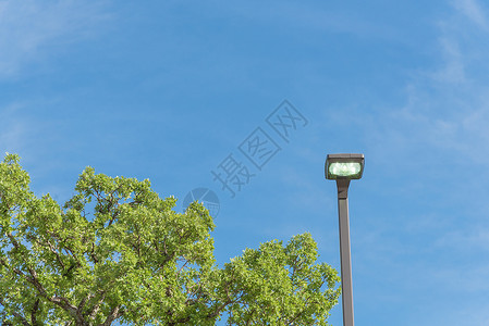 白天亮街灯柱 浪费电费概念的白日植物路灯街道灯柱城市解决方案灯光力量生态灯笼背景图片