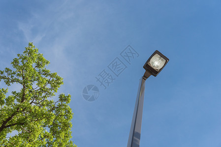 白天亮街灯柱 浪费电费概念的白日路灯灯光活力城市灯柱天空生态植物力量照明背景图片