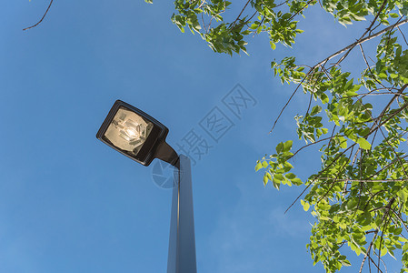 日光灯亮的街道灯柱 用于消瘦蓝色解决方案植物经济照明路灯活力灯笼危险力量背景图片