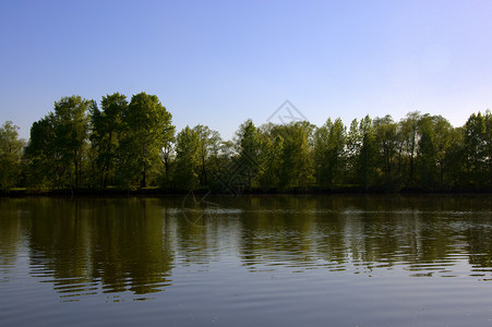 森林湖的景象 海岸反映在水的平静面上 照片是在一个温暖的春天拍摄的 掌声森林环境天空旅行公园美丽蓝色绿色反射背景图片