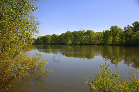 森林湖的景象 海岸反映在水的平静面上 照片是在一个温暖的春天拍摄的 掌声环境旅行天空反射公园绿色美丽蓝色森林背景图片