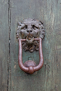 古意大利狮子形状的敲门器危险木头装饰入口棕色建筑学青铜黄铜门把手戒指背景图片