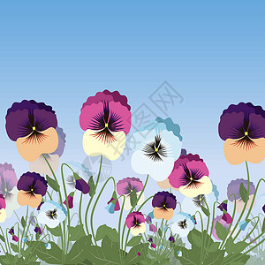 矢量花粉色的彩色无孔雀花和蓝色天空插图背景图片