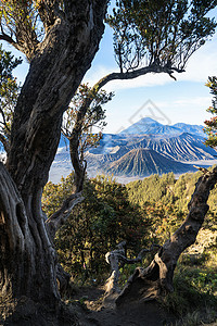 布罗莫火山的日出 在印度爪哇喷射旅行冒险游客薄雾山脉小径风景公园环境天空图片