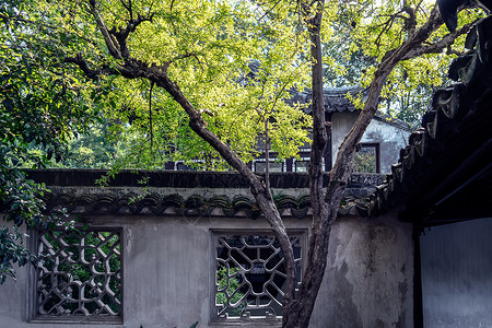 秋天在中国苏州公园建筑学公园树木阳光花园森林季节叶子树叶风景背景图片