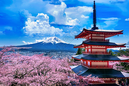 新仓山浅间神社春天樱花开花 日本的朱瑞托塔和藤山神道火山浅间风景寺庙蓝色旅行公园地标叶子背景