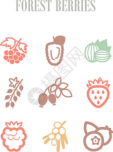 露莓森林浆果图标 se荆棘食物覆盆子红色鼠李醋栗水果插图蓝色叶子插画