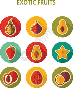 暗调水果异国情调的水果图标 se荔枝热带插图食物木瓜热情插画