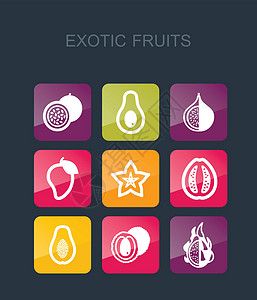 暗调水果异国情调的水果图标 se插图热情木瓜热带荔枝食物插画