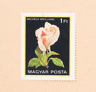 扎尔匈牙利CIRCA 1980年 匈牙利印刷的邮票显示一朵花收藏邮资信封空气历史性爱好收集古董背景