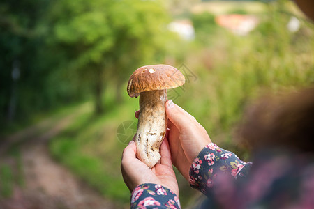 女孩发现美丽的大蘑菇 - 肉汁糖背景图片