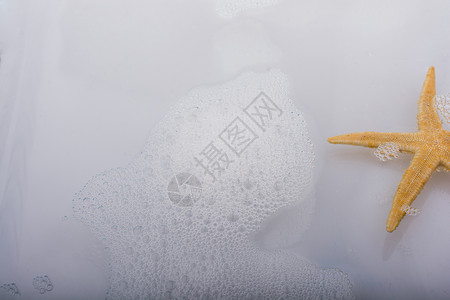 肥皂水中的橘子海星海洋星星贝壳热带气泡美丽旅行白色背景图片