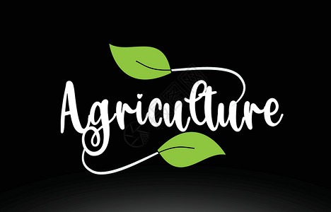 农业文字文本 带有绿叶标识图标设计写作书面刻字身份创造力叶子绿色卡片插图公司背景图片