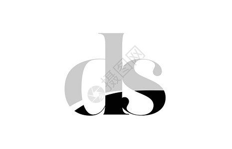尼康d300s字母 ds d s 黑白标志图标设计公司标识身份黑色商业推广品牌插图白色设计图片