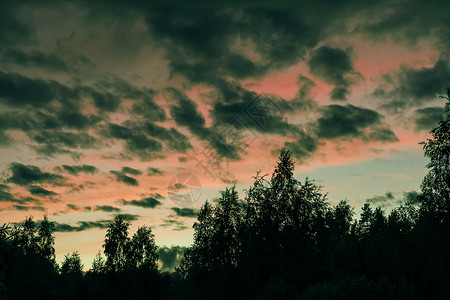 在森林边缘日落时 天空中美丽的戏剧性云朵花风暴风景天气阳光气氛蓝色全景金子背景图片