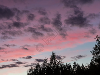 在森林边缘日落时 天空中美丽的戏剧性云朵花全景蓝色风暴风景阳光天气金子气氛背景图片