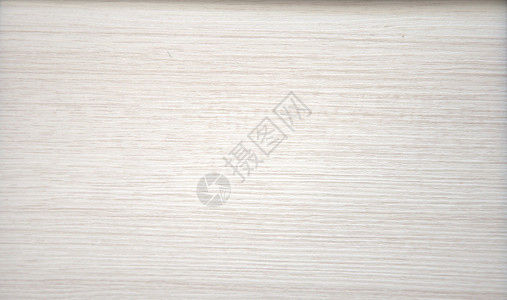 白色树纹上的自然纹理纹理 背景 特写装饰木板风格硬木收藏材料控制板美丽粮食木头背景图片