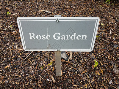 灰玫瑰花花园标志和棕色泥浆或木屑背景图片