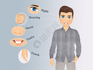 人体耳朵五个感的插图鼻子男人耳朵人体药品眼睛听力背景