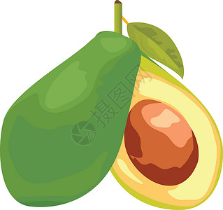 鳄梨油两半鳄梨热带石头插图水果食物种子饮食植物异国产品插画