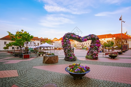 阿拉莫广场罗马尼亚蒂米索阿拉自由广场旅行花朵花坛胜地水平城市地方花床远足地标背景