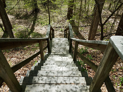 楼梯或阶梯 带树向下到有树的路径背景图片