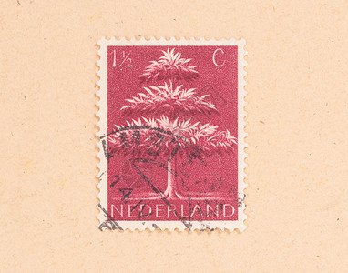 1950年荷兰 荷兰印刷的印有一张邮票背景图片