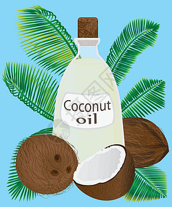 椰子产品罐子里的椰子油和椰子矢量图食物叶子卫生疼痛黄油牛奶营养可可插图热带设计图片
