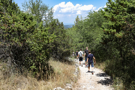 夏季在克罗地亚国家公园的树条上行走的旅行者;高清图片