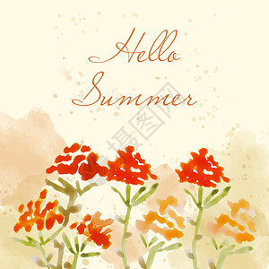 夏天你好 带花的水彩横幅气氛卡片海报背景图片