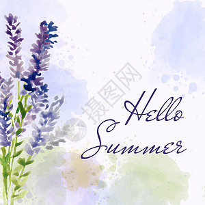 夏天你好 带花的水彩横幅气氛海报卡片背景图片