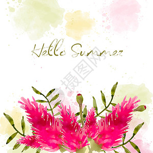 夏天你好 带花的水彩横幅卡片海报背景图片