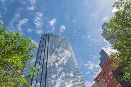 玻璃塔天空大厦的低角度视图 其树木在明晴的云天下摩天大楼蓝色办公室建筑学晴天时间技术景观地标街道背景